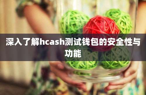 深入了解hcash测试钱包的安全性与功能