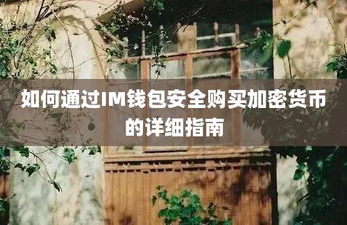 如何通过IM钱包安全购买加密货币的详细指南