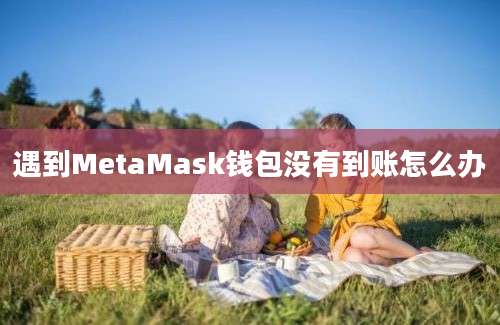 遇到MetaMask钱包没有到账怎么办