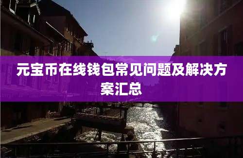 元宝币在线钱包常见问题及解决方案汇总