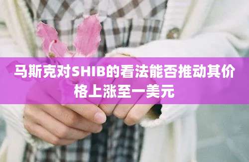 马斯克对SHIB的看法能否推动其价格上涨至一美元