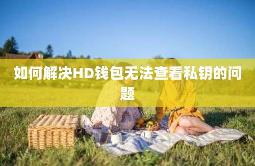 如何解决HD钱包无法查看私钥的问题