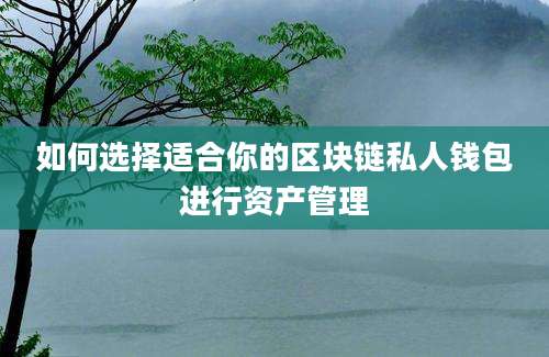 如何选择适合你的区块链私人钱包进行资产管理