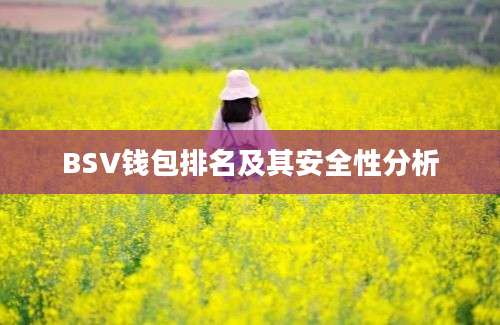 BSV钱包排名及其安全性分析