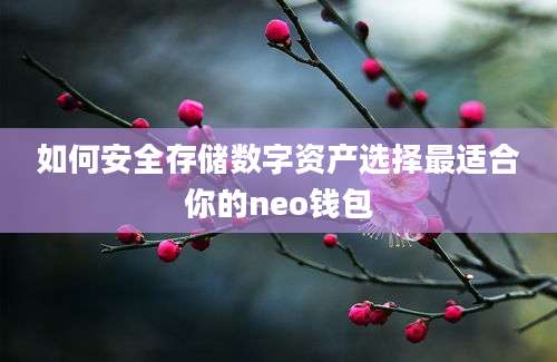 如何安全存储数字资产选择最适合你的neo钱包