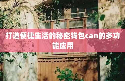 打造便捷生活的秘密钱包can的多功能应用