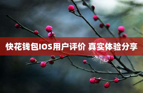 快花钱包IOS用户评价 真实体验分享