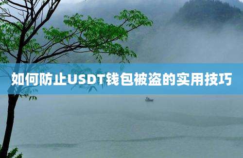 如何防止USDT钱包被盗的实用技巧