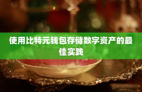 使用比特元钱包存储数字资产的最佳实践