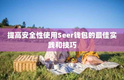 提高安全性使用Seer钱包的最佳实践和技巧