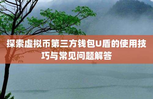 探索虚拟币第三方钱包U盾的使用技巧与常见问题解答