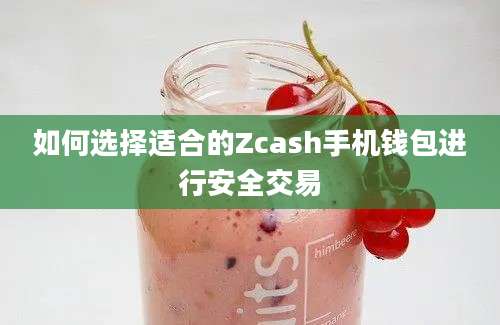 如何选择适合的Zcash手机钱包进行安全交易