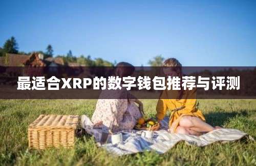 最适合XRP的数字钱包推荐与评测