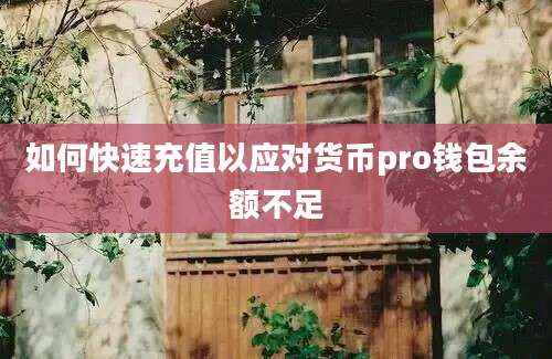 如何快速充值以应对货币pro钱包余额不足