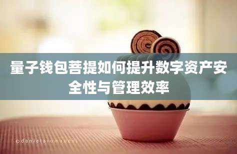 量子钱包菩提如何提升数字资产安全性与管理效率