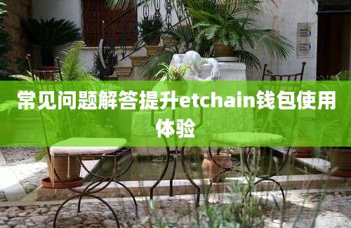 常见问题解答提升etchain钱包使用体验