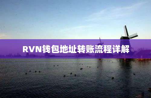 RVN钱包地址转账流程详解