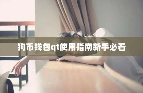 狗币钱包qt使用指南新手必看