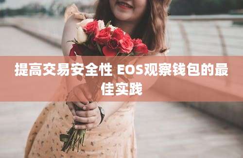 提高交易安全性 EOS观察钱包的最佳实践