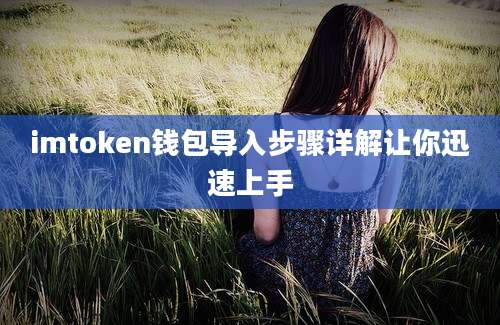 imtoken钱包导入步骤详解让你迅速上手