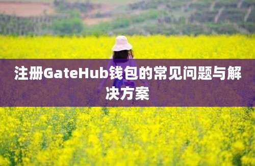 注册GateHub钱包的常见问题与解决方案