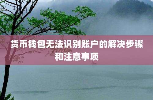 货币钱包无法识别账户的解决步骤和注意事项