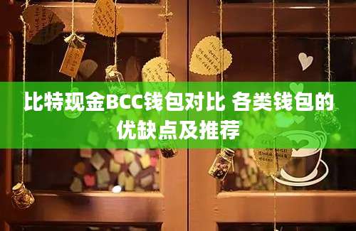 比特现金BCC钱包对比 各类钱包的优缺点及推荐