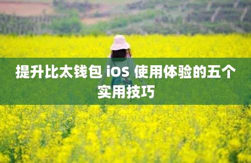 提升比太钱包 iOS 使用体验的五个实用技巧