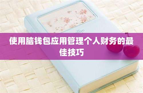 使用脑钱包应用管理个人财务的最佳技巧