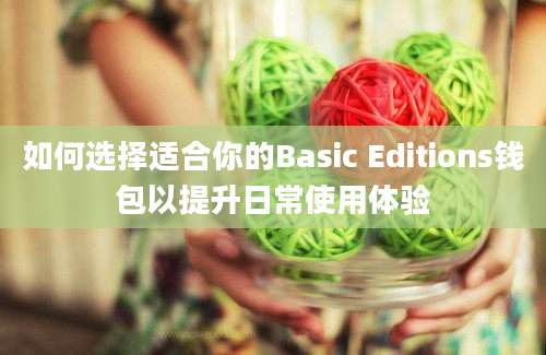 如何选择适合你的Basic Editions钱包以提升日常使用体验