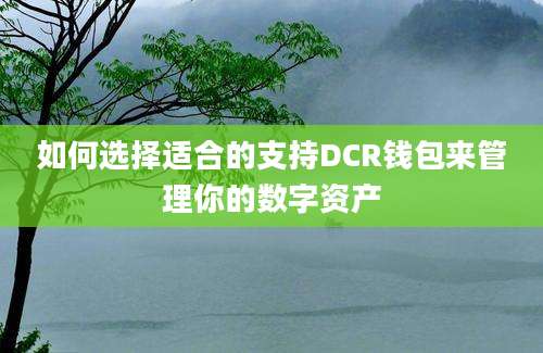 如何选择适合的支持DCR钱包来管理你的数字资产