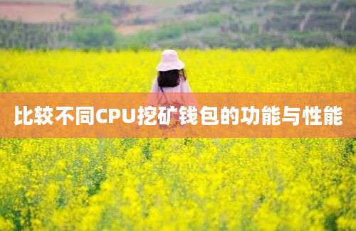 比较不同CPU挖矿钱包的功能与性能