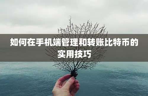 如何在手机端管理和转账比特币的实用技巧