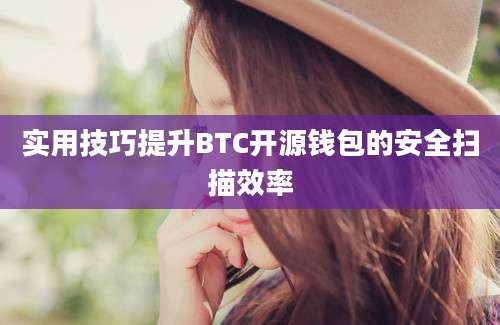 实用技巧提升BTC开源钱包的安全扫描效率